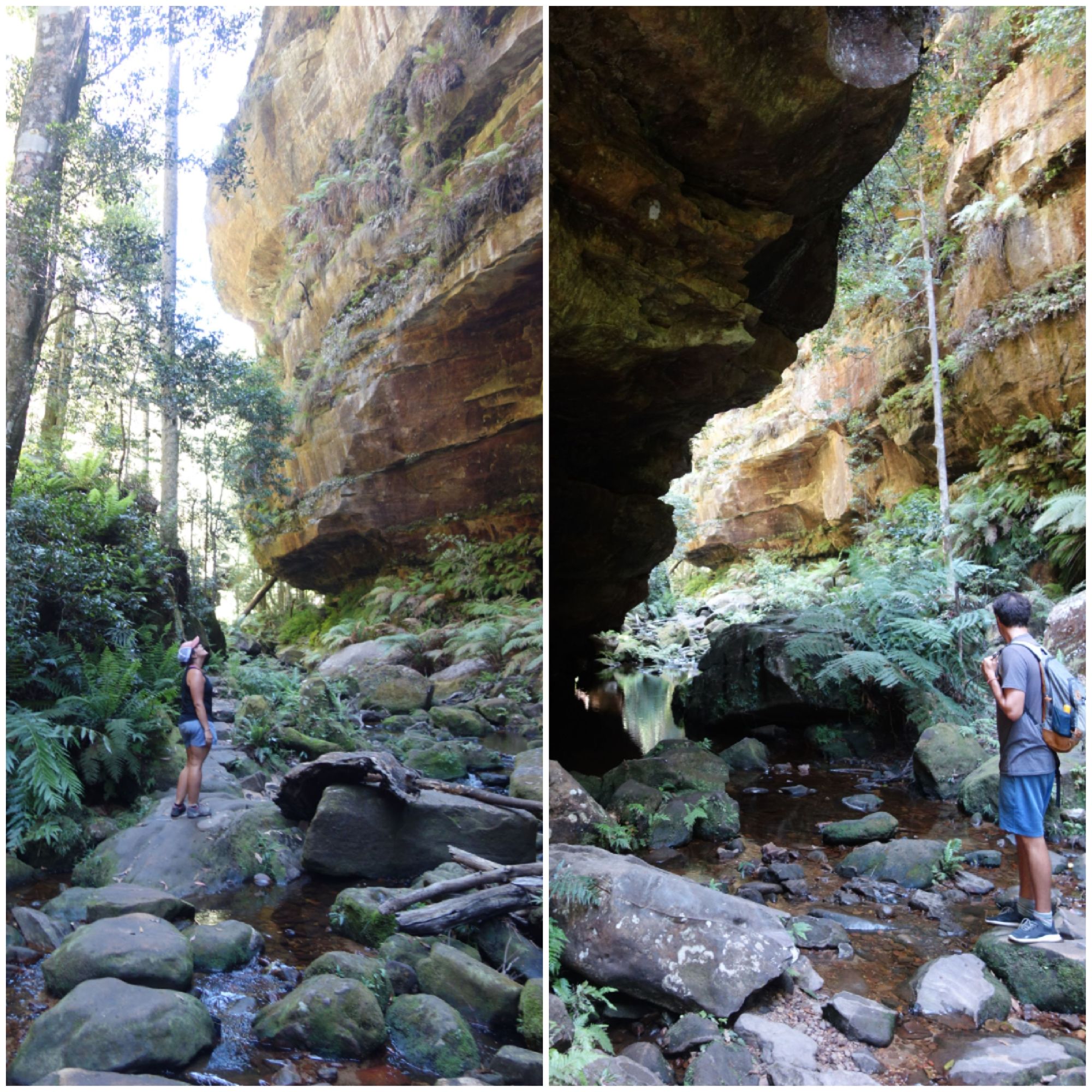 ⛰️ The Blue Mountains ⛰️