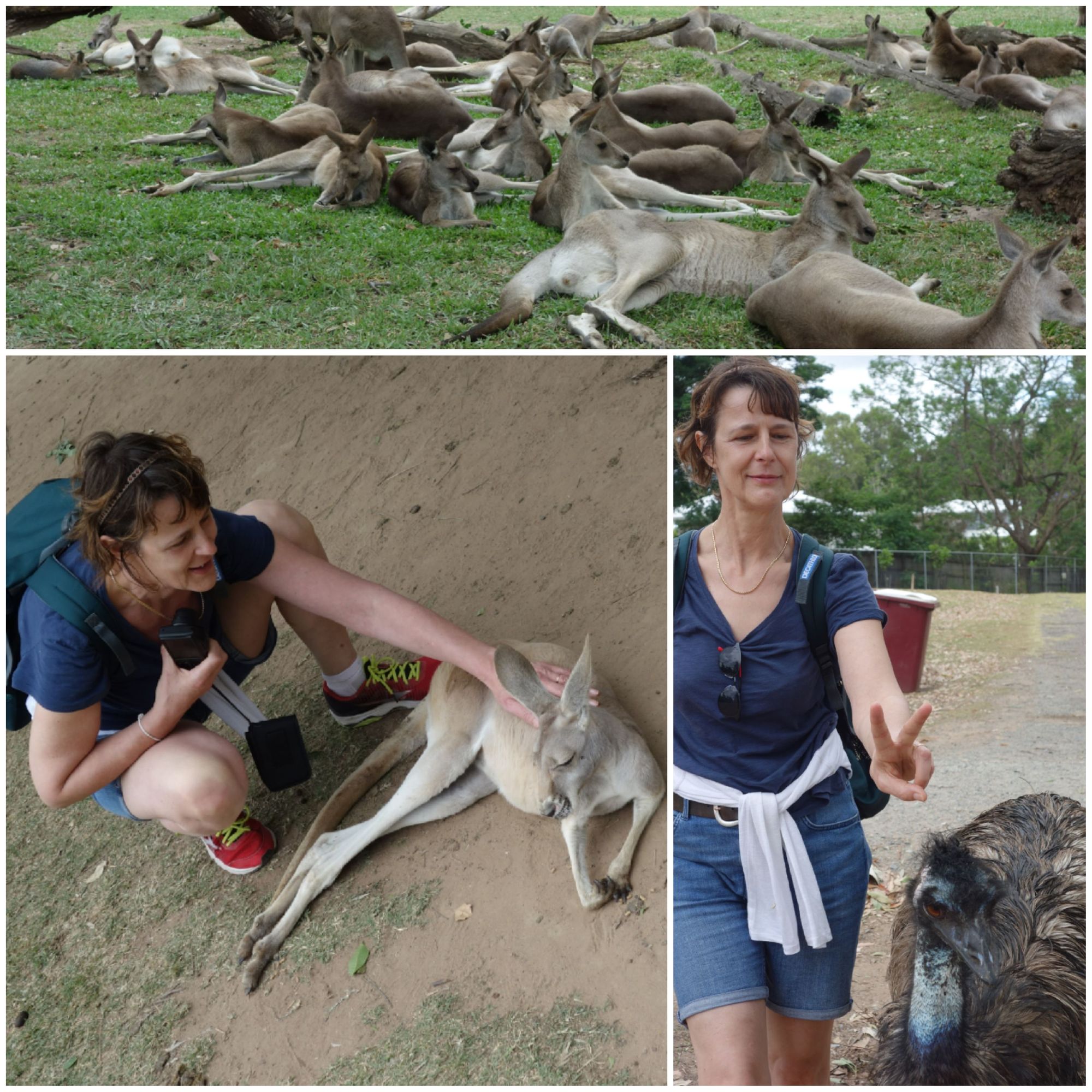 Derniers jours à Brisbane avec Emma !