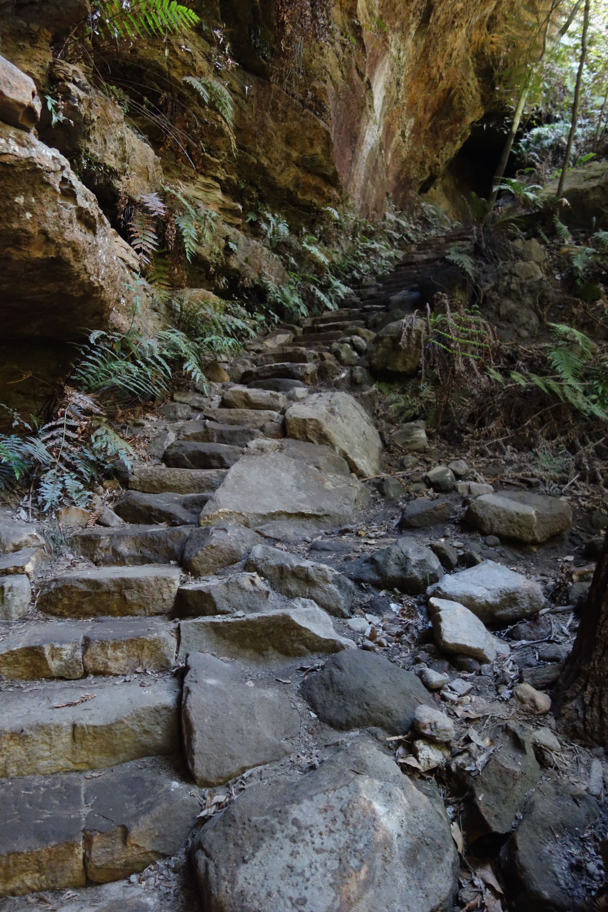 ⛰️ The Blue Mountains ⛰️