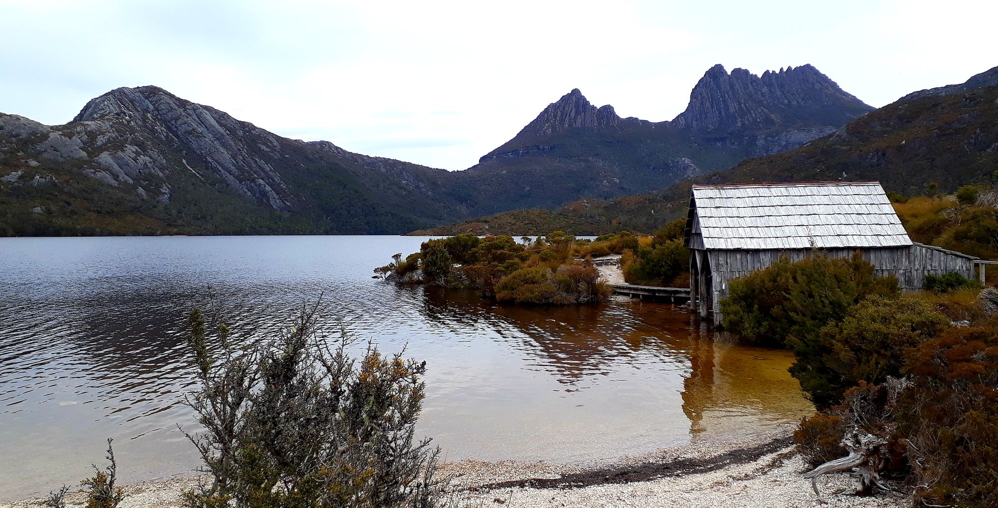 Tasmania, Part One ✌️