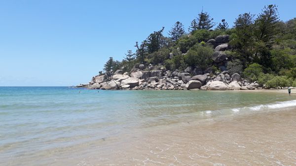 Une journée sur 🐨 Magnetic Island 🐨